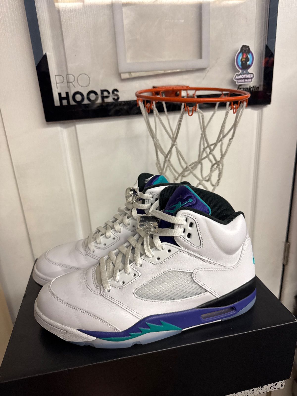 Jordan 5 Retro Grape (2025) - Lightly Used, OG All
