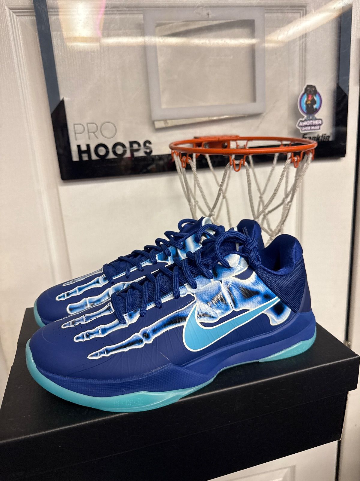 Nike Kobe 5 Protro X-Ray