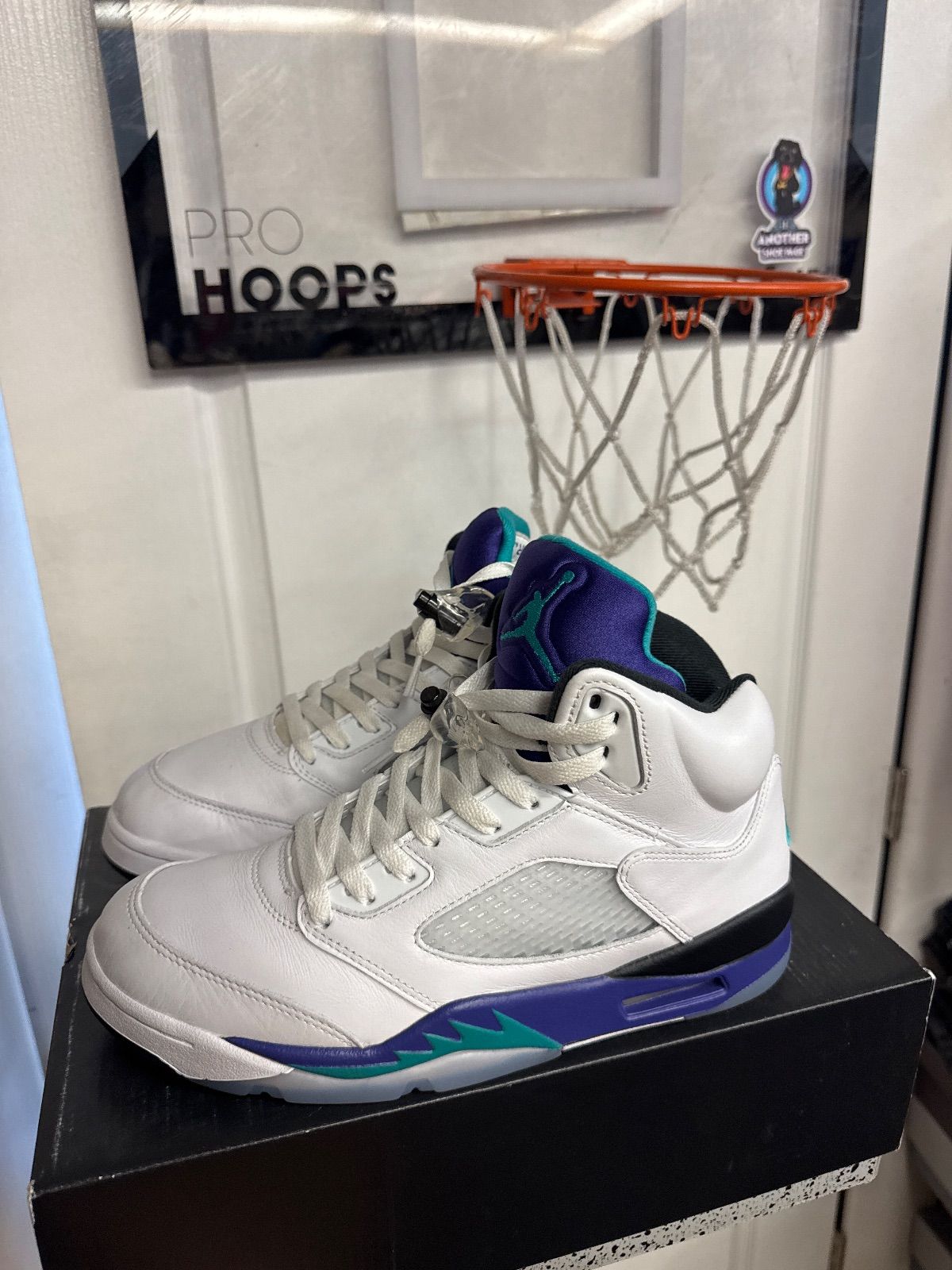Jordan 5 Retro Grape (2025) - Lightly Used, OG All