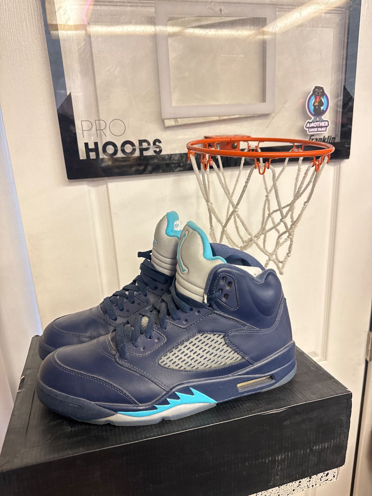 Jordan 5 Retro Pre-Grape - Lightly Used, OG All Besides Lace Locks