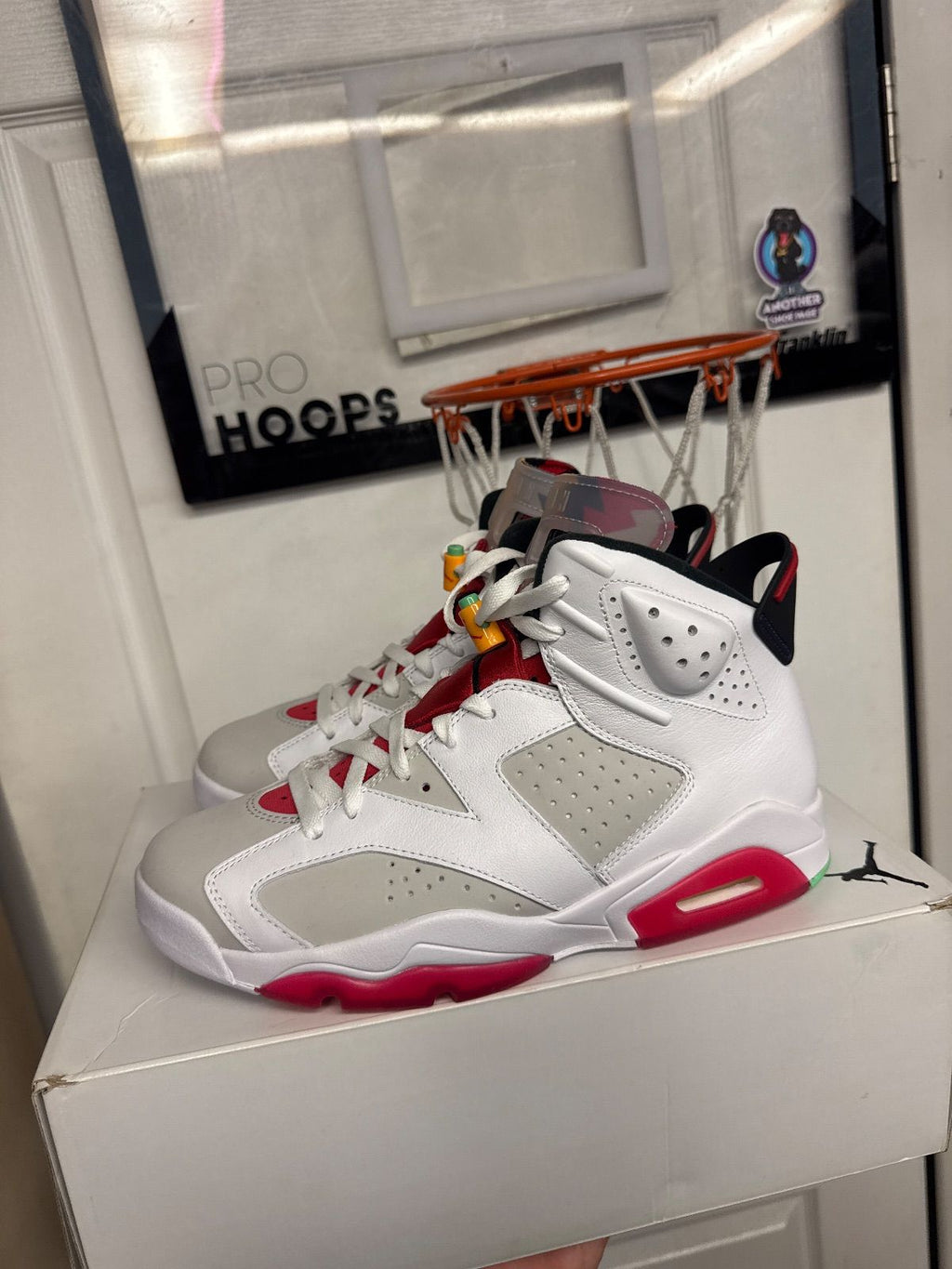 Jordan 6 Retro Hare - Worn 1X, Og All