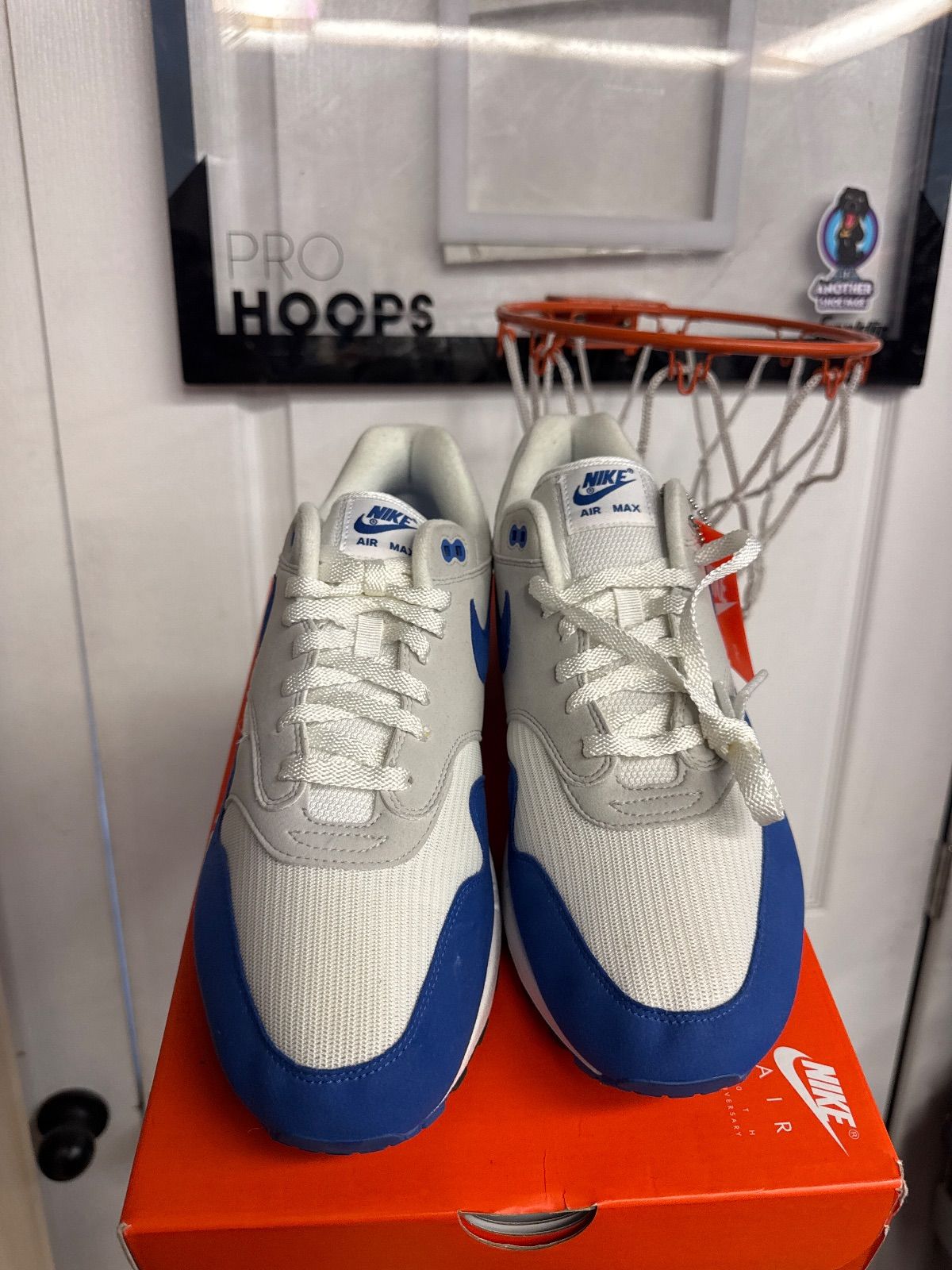 Nike Air Max 1 Anniversary Royal (2017) - Lightly Used, OG All
