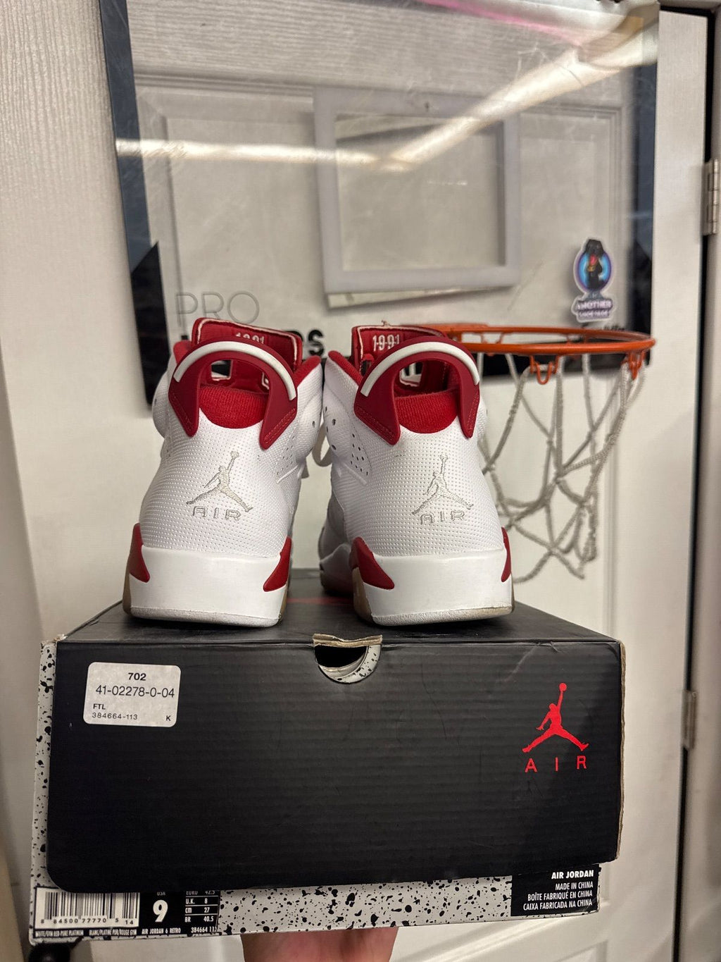 Jordan 6 Retro Alternate Hare - Lightly Used, OG All